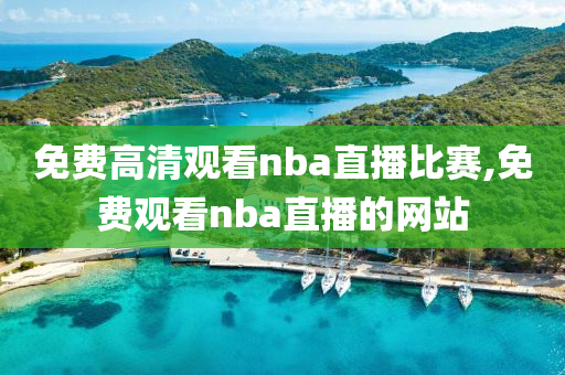 免费高清观看nba直播比赛,免费观看nba直播的网站