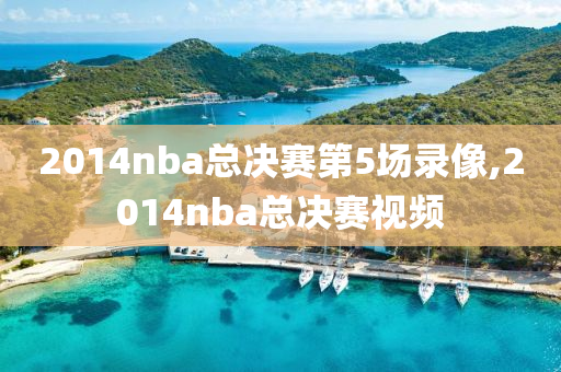 2014nba总决赛第5场录像,2014nba总决赛视频