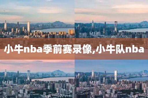 小牛nba季前赛录像,小牛队nba