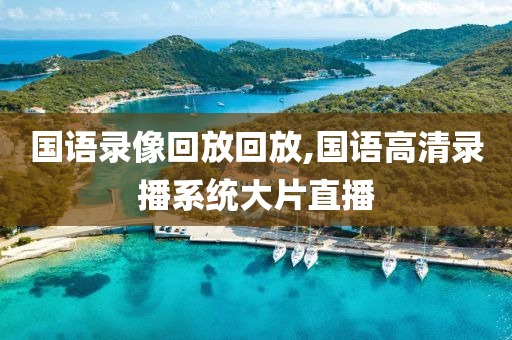 国语录像回放回放,国语高清录播系统大片直播