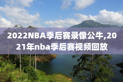 2022NBA季后赛录像公牛,2021年nba季后赛视频回放