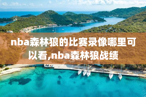 nba森林狼的比赛录像哪里可以看,nba森林狼战绩