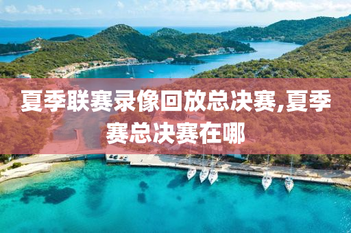 夏季联赛录像回放总决赛,夏季赛总决赛在哪